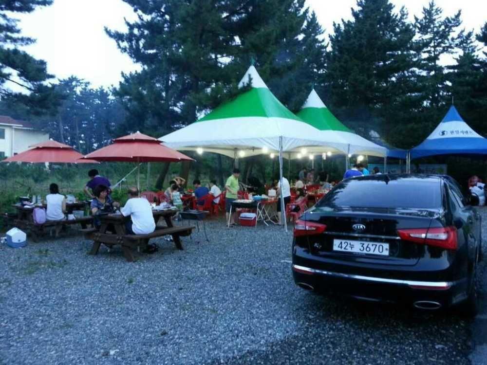 يانغ يانغ بين بيتش كوندوتيل المظهر الخارجي الصورة